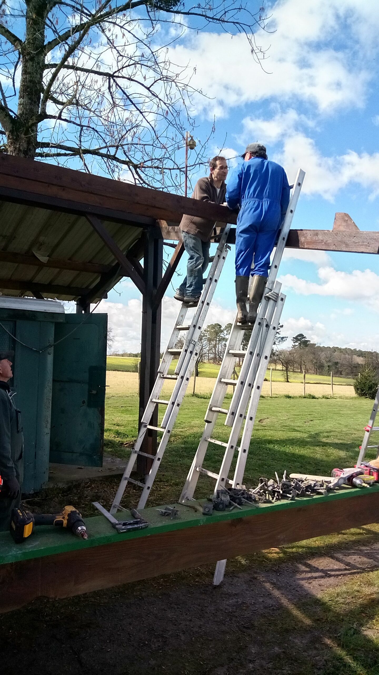 006_IMG_20260315_121307_605