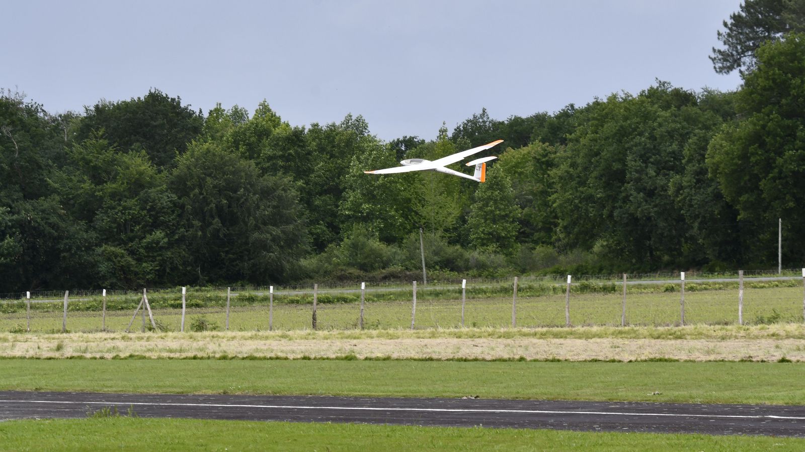 _DSC2891