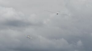_DSC2995